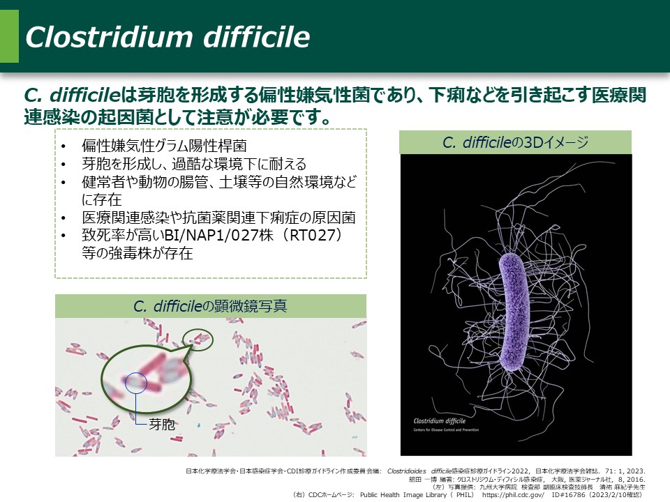 cd 感染 症