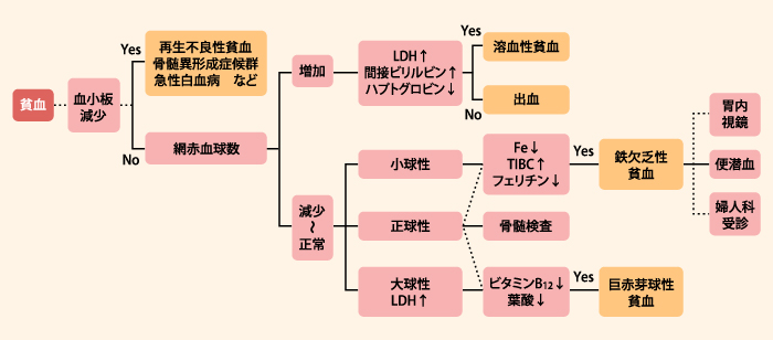 フェインジェクト 2 6 鉄欠乏性貧血の診断基準 Zeria Medical Site