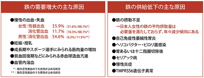 フェインジェクト│2-7. 鉄欠乏性貧血の診断上の留意点│ZERIA Medical