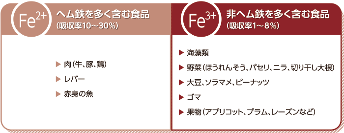 フェインジェクト 1 2 鉄の吸収 Zeria Medical Site