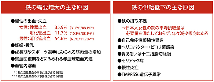 フェインジェクト│1-6. 鉄不足により起こる疾患│ZERIA Medical Site