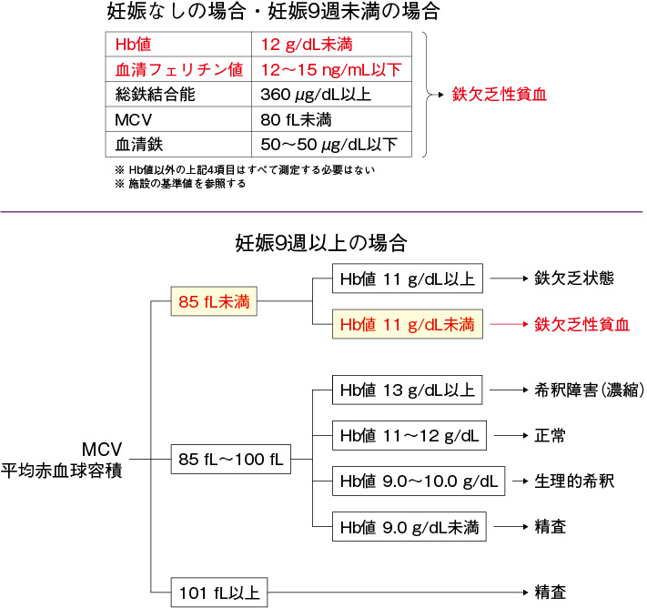 フェインジェクト│3-2. 鉄欠乏性貧血の診断│ZERIA Medical Site