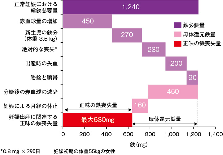 フェインジェクト 3 4 妊娠と貧血 Zeria Medical Site